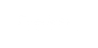 Peerless Home Repair Services
